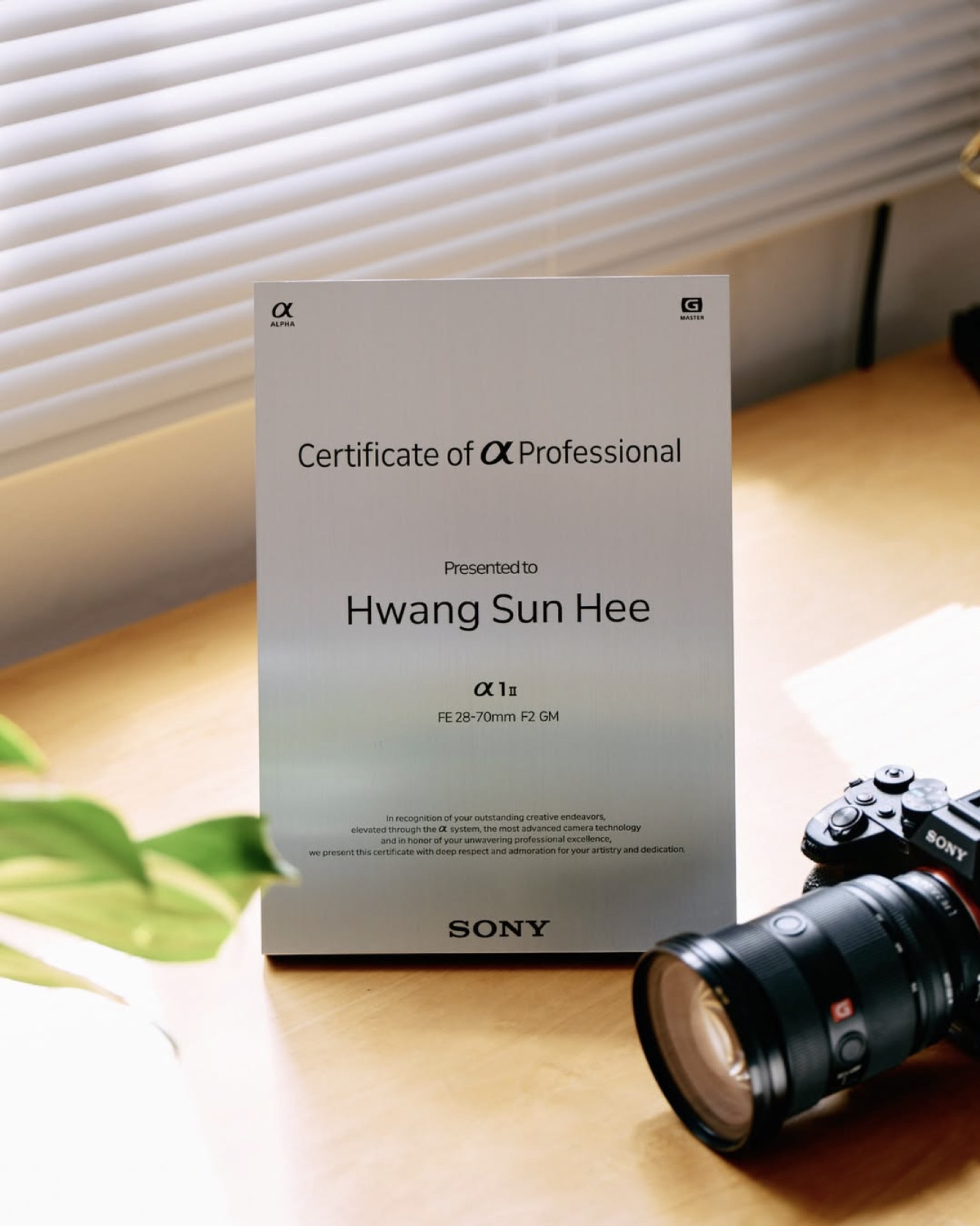 Sony α Professional Certificate